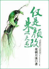 （天龙八部同人）仅是朱颜改