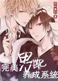 完美男配养成系统