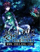 宠物小精灵之林风