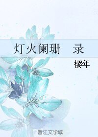 灯火阑珊 录