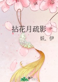 拈花月疏影