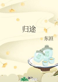 归途