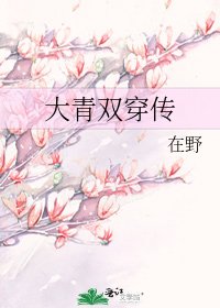 大青雙穿傳