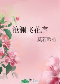 《沧澜飞花序》