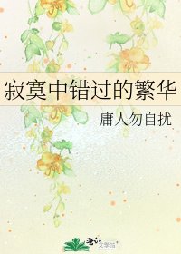 《寂寞中錯過的繁華》