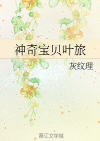 （BL/神奇宝贝同人）神奇宝贝叶旅