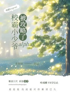 《校霸小少爷alpha被攻略了/靠!校霸你家omega是个E啊》