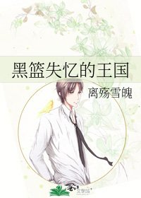 黑篮失忆的王国