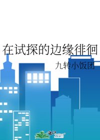 在试探的边缘徘徊