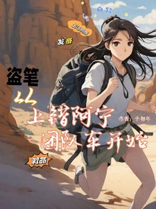 （盗墓笔记同人）盗笔：从上错阿宁团队车开始