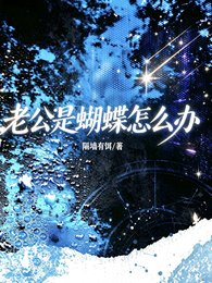 老公是蝴蝶怎么办