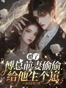 懵了，傅总前妻偷偷给他生个崽