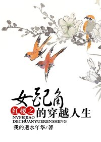【BG/红楼同人】红楼之女配角的穿越人生