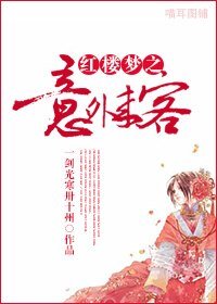 （BG/红楼梦同人）红楼梦之意外来客