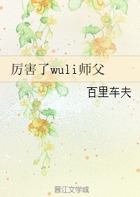 厉害了wuli师父/我那满腹污水的师父一言不合就撩我