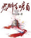 君醉红颜