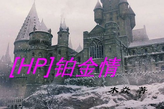 （HP同人/BG）铂金情